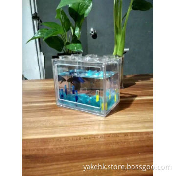cool aquarium tank,betta fish tank